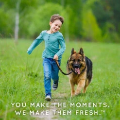 TropiClean Natural Flea & Tick Maximum Strength Shampoo For Dogs 23 TropiClean Natural Flea & Tick Maximum Strength Shampoo For Dogs -Tropiclean Sales Store wrsyshxpninzxyr9tmzy 56d1c19d 5c3c 4898 bf95 31245b49a59b