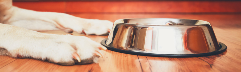 Front Page -Tropiclean Sales Store banner942